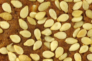 Image showing Sesame on bread