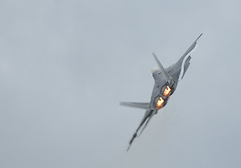 Image showing F-22 Raptor  turning