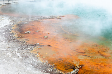 Image showing hot sparkling lake in New Zealand