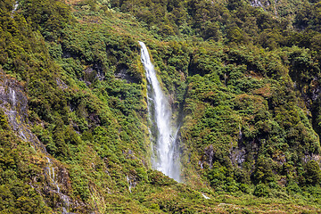 Image showing Fiordland National Park New Zealand