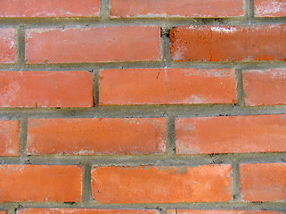 Image showing Brickwall texture