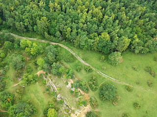 Image showing aerial view trees