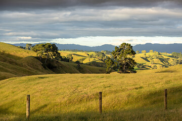 Image showing typical rural landscape in New Zealand