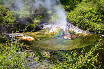 Image showing volcanic activities at waimangu