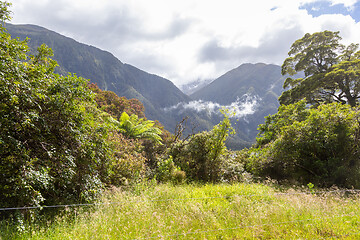 Image showing Landscape scenery in south New Zealand