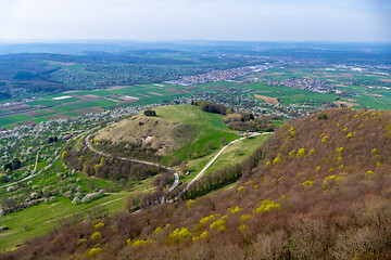 Image showing green meadow with blossoming trees and houses