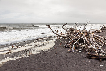 Image showing jade beach Hokitika, New Zealand