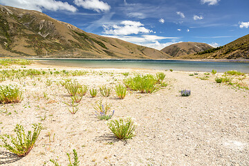 Image showing Landscape scenery in south New Zealand