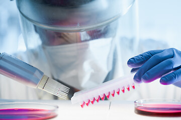 Image showing Scientist working in the corona virus vaccine development laboratory research with a highest degree of protection gear.