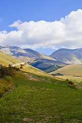 Image showing Fields in Castelluccio di Norcia, Umbria, Italy. October 2019.