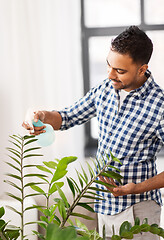 Image showing indian man spraying houseplant with water at home