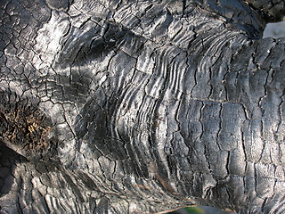 Image showing Charcoal texture