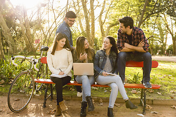 Image showing Students in the park