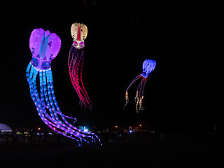 Image showing Satun International Kite Festival, Thailand 2020