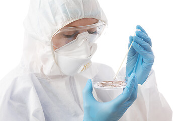 Image showing Biosecurity scientist researches new outbreak of epidemic diseas