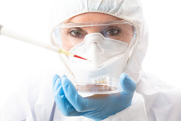 Image showing Pathologist healthcare scientist analysing cultures in petri dis