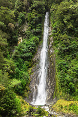 Image showing Thunder Creek Falls, New Zealand