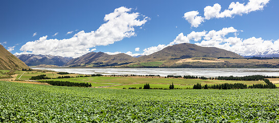 Image showing Mountain Alps scenery in south New Zealand