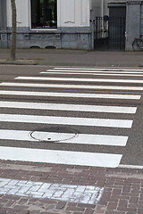 Image showing Pedestrian Crossing