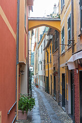 Image showing Narrow Street Portofino