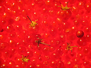 Image showing Background of stone bramble berries