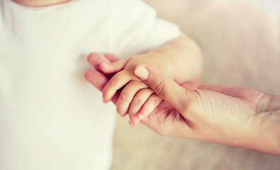 Image showing close up of little baby and mother hands