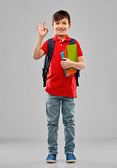 Image showing student boy with books and school bag showing ok