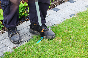 Image showing Gardening - edging lawn along the path