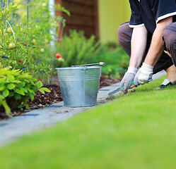 Image showing Gardening - removing weeds from the footpath in the garden