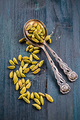 Image showing Green cardamom whole seeds in vintage spoon