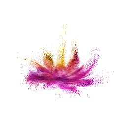 Image showing Colorful powder splash as a flower on a white background.