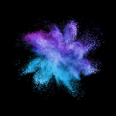 Image showing Abstract multicolored powder splash on a black background.