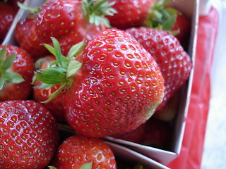 Image showing strawberry