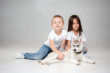 Image showing Portrait of a joyful little girl and boy having fun with siberian husky puppy on the floor at studio