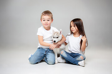 Image showing Portrait of a joyful little girl and boy having fun with siberian husky puppy on the floor at studio