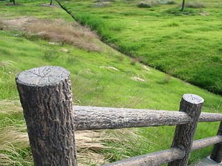 Image showing A quiet Japanese green field