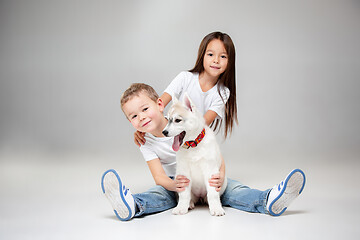 Image showing Portrait of a joyful little girl and boy having fun with siberian husky puppy on the floor at studio