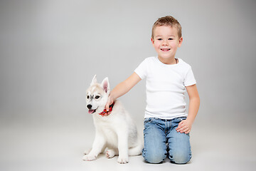 Image showing Portrait of a joyful little boy having fun with siberian husky puppy on the floor at studio