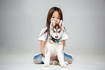 Image showing Portrait of a joyful little girl having fun with siberian husky puppy on the floor at studio