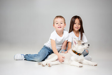 Image showing Portrait of a joyful little girl and boy having fun with siberian husky puppy on the floor at studio