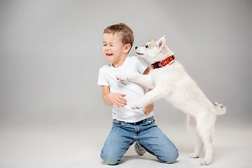 Image showing Portrait of a joyful little boy having fun with siberian husky puppy on the floor at studio