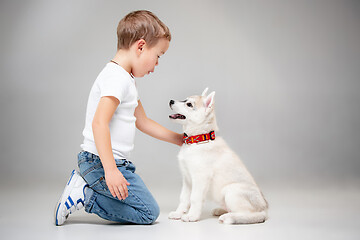 Image showing Portrait of a joyful little boy having fun with siberian husky puppy on the floor at studio