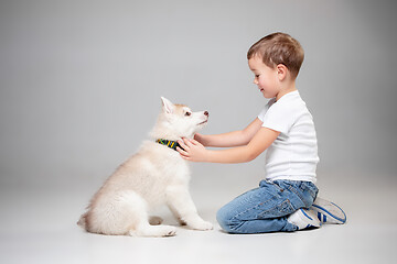 Image showing Portrait of a joyful little boy having fun with siberian husky puppy on the floor at studio