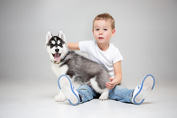 Image showing Portrait of a joyful little boy having fun with siberian husky puppy on the floor at studio