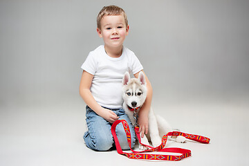 Image showing Portrait of a joyful little boy having fun with siberian husky puppy on the floor at studio