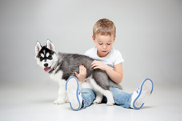 Image showing Portrait of a joyful little boy having fun with siberian husky puppy on the floor at studio