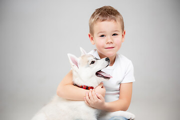 Image showing Portrait of a joyful little boy having fun with siberian husky puppy on the floor at studio