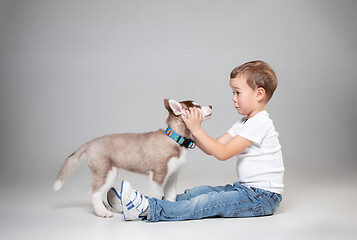 Image showing Portrait of a joyful little boy having fun with siberian husky puppy on the floor at studio