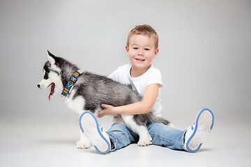 Image showing Portrait of a joyful little boy having fun with siberian husky puppy on the floor at studio