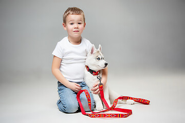 Image showing Portrait of a joyful little boy having fun with siberian husky puppy on the floor at studio